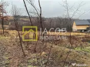 Teren de Ardeoani / Strada Livezilor 