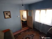 Teren pentru casă verde langa promenada din Ovidiu 