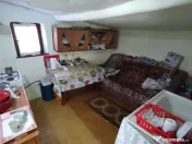 Teren pentru casă verde langa promenada din Ovidiu 