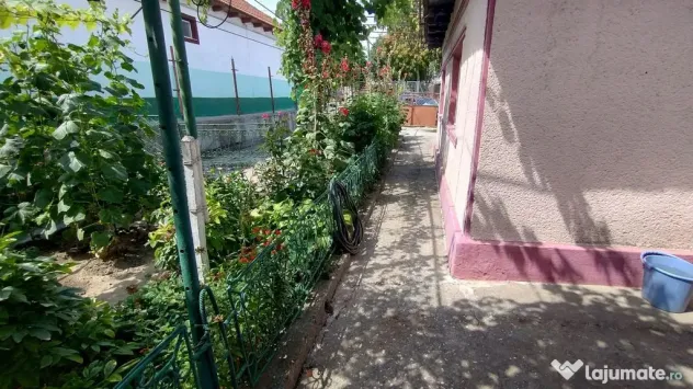 Teren pentru casă verde langa promenada din Ovidiu