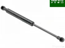 Amortizor Capota Peugeot 307 2003
