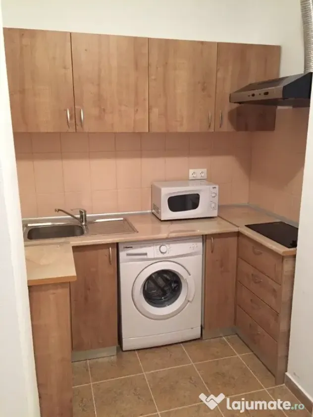 Apartament 1 camera in zona Gheorghe Lazar