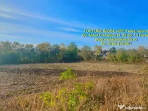 Teren intravilan, intre case, com.Stefan cel Mare