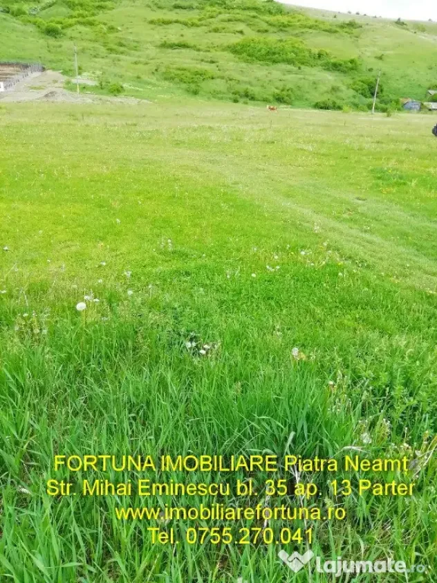 Teren intravilan P.Neamt