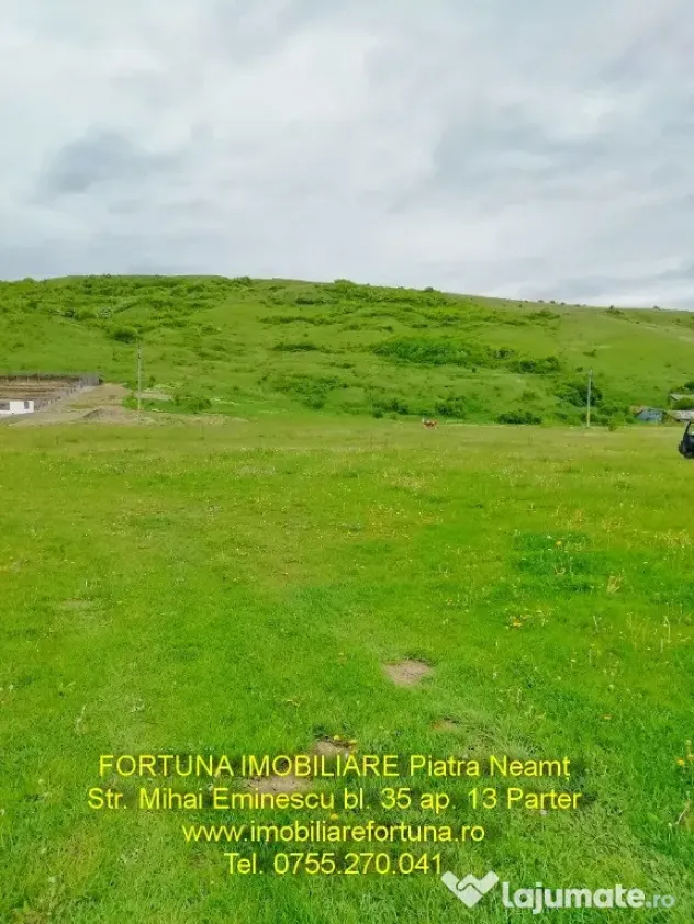 Teren intravilan P.Neamt