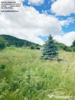 Teren Alexandru cel Bun