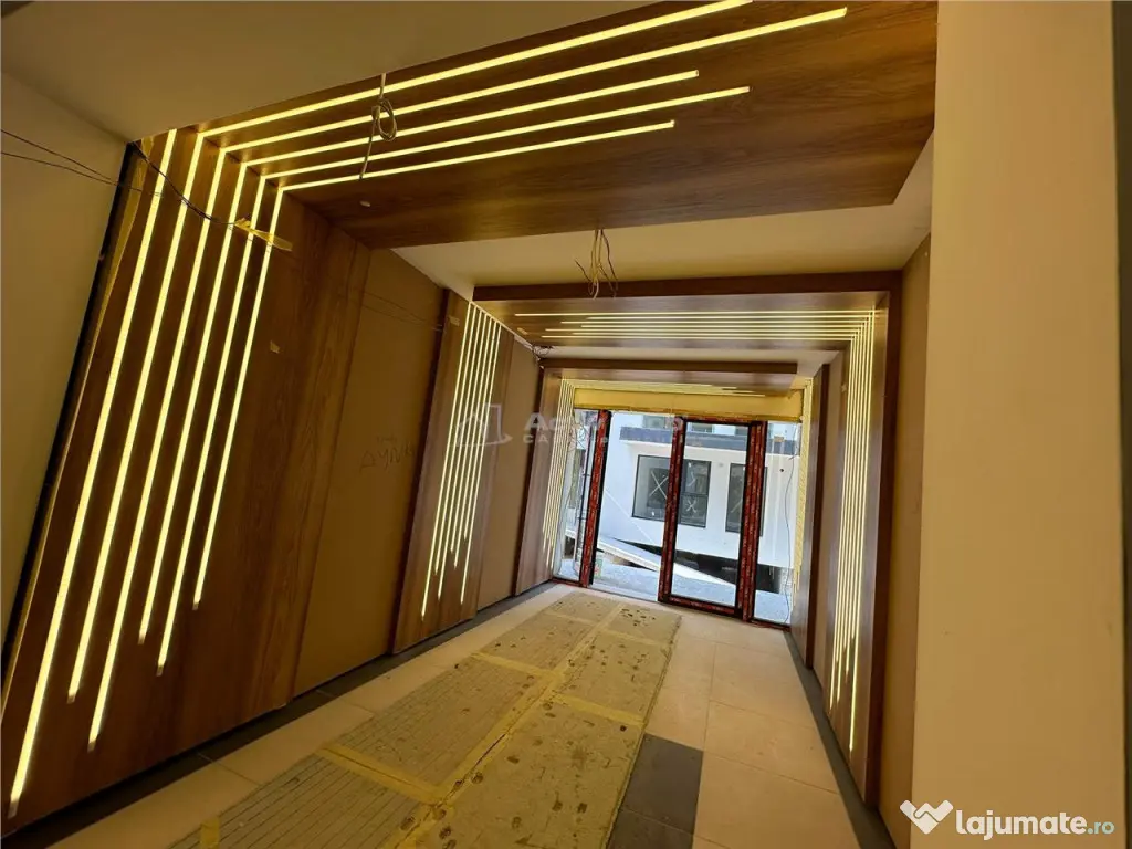 3 camere Theodor Pallady