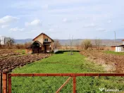 Ilia, proprietate deosebita 