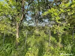 Teren intravilan ,cu vegetatie, 2700 mp, zona Siret