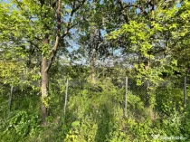 Teren intravilan ,cu vegetatie, 2700 mp, zona Siret