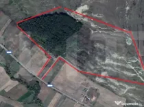 Teren 40 Hectare, Locuinta, 3 lacuri, zona Alunis