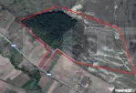 Teren 40 Hectare, Locuinta, 3 lacuri, zona Alunis