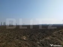 Teren 10 000mp, 38ml deschidere, Berceni.