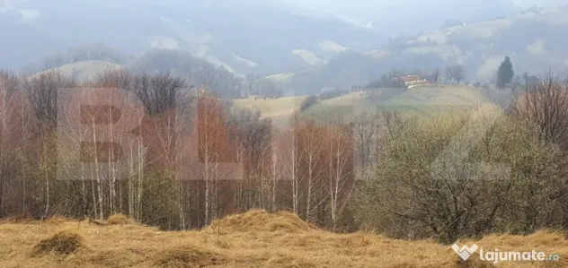 Teren 9648 mp, priveliste superba, Poiana Marului!