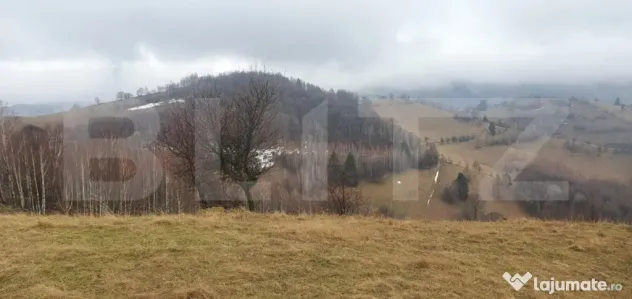 Teren 9648 mp, priveliste superba, Poiana Marului!