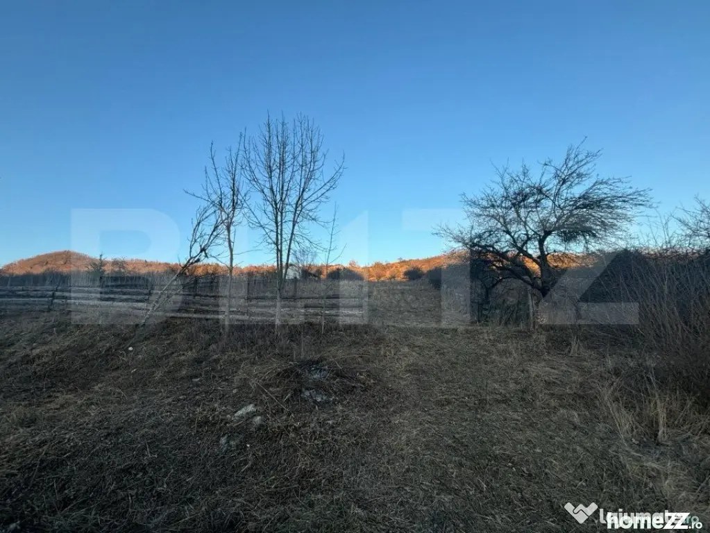 Teren Intravilan, 65000mp, Valea Slatinitei - Bistrita (Bistrita-Nasaud)