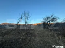 Teren Intravilan, 65000mp, Valea Slatinitei
