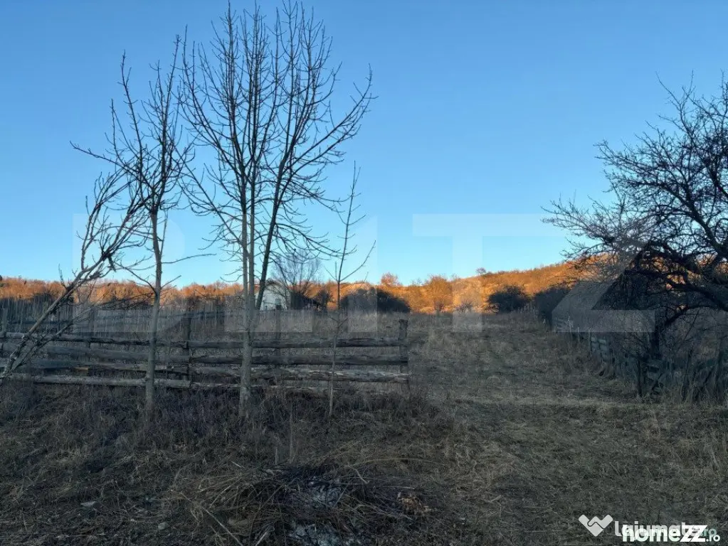 Teren Intravilan, 65000mp, Valea Slatinitei - Bistrita (Bistrita-Nasaud)