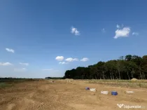 Pret promotiomal lot teren la padurea Snagov