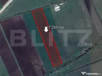 Teren de 17250 mp, Stupini