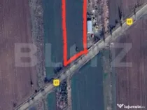 Teren intravilan 6000 mp in Bucovat