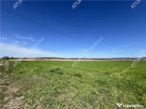Teren intravilan de 8150 mp situat in Sibiu zona Calea Surii