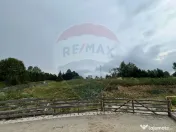 Teren 4397 mp Intravilan Manastirea Humorului / Lunga Buc... 