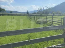 Vânzare teren 385 mp, Dorna Arini