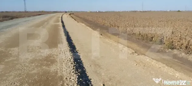 Teren extravilan de 8 ha în C. Șagului la viitoarea centur - Timisoara (Timis)
