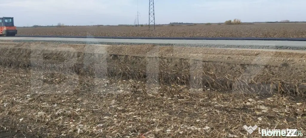 Teren extravilan de 8 ha în C. Șagului la viitoarea centur - Timisoara (Timis)