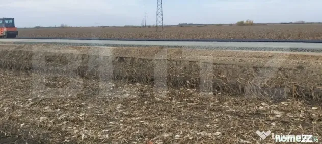 Teren extravilan de 8 ha în C. Șagului la viitoarea centur - Timisoara (Timis)