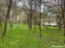 Teren 784 mp, Nistoresti, jud Prahova