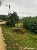 Teren intravilan Sinca Noua