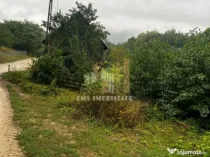 Teren intravilan Sinca Noua