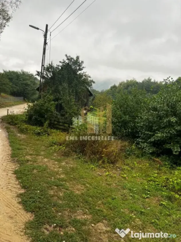 Teren intravilan Sinca Noua
