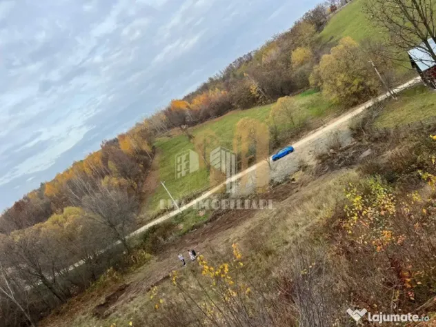 Teren intravilan Sinca Noua