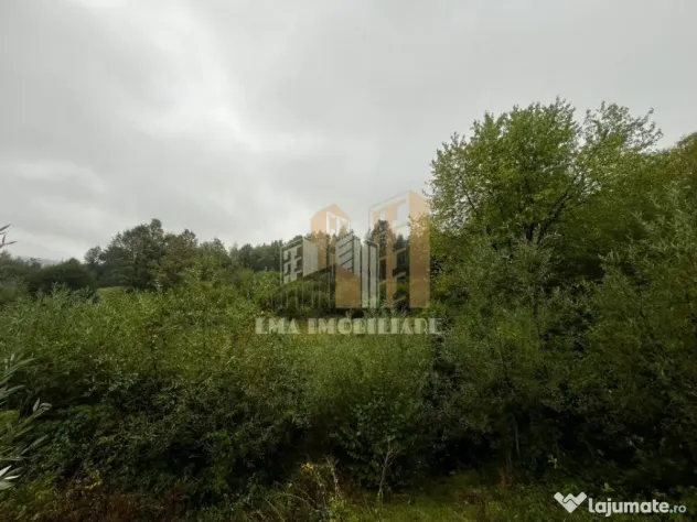 Teren intravilan Sinca Noua