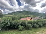 Casa de lux, cu vedere panoramica asupra muntilor, 2600mp te 