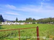 VLADESTI - LIVADA PRIMARIE, TEREN 626 MP 