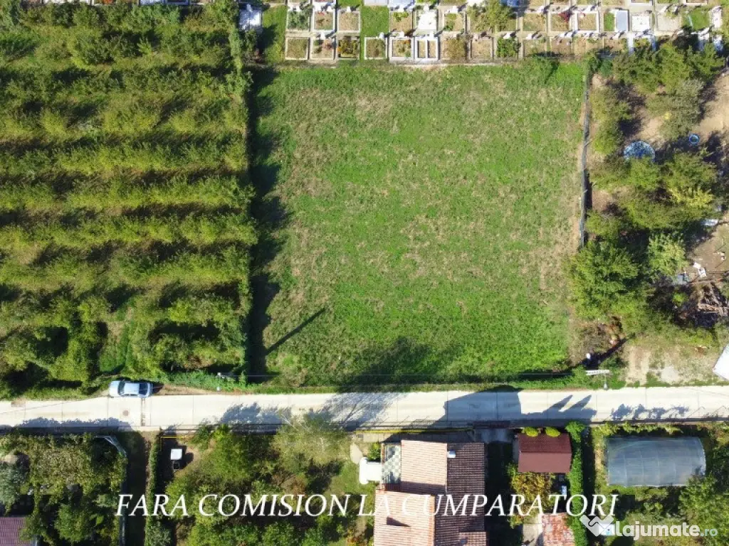 VLADESTI - LIVADA PRIMARIE, TEREN 626 MP