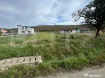 Teren de Vanzare, foarte aproape de Crama Jelna