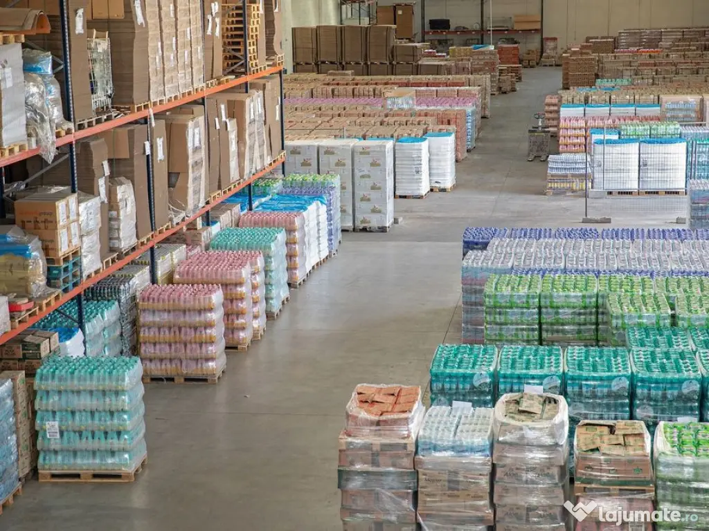 Spațiu logistic flexibil, 500-1 500 mp. Comision 0%.