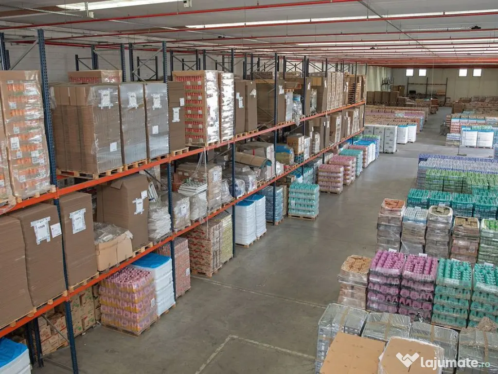 Spațiu logistic flexibil, 500-1 500 mp. Comision 0%.
