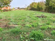 Teren Intravilan, sat Martinesti comuna Odoreu