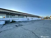 Hale Brailei Plus Frig 