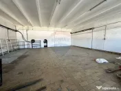 Hale Brailei Plus Frig 