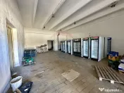 Hale Brailei Plus Frig 