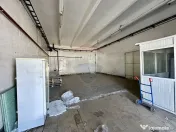 Hale Brailei Plus Frig 