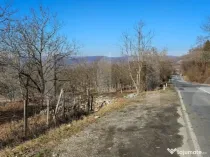 Teren de 30 de ari, Dumitra, 5km de Bistrita