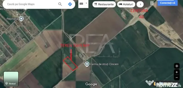 TEREN CLINCENI LA 200 m de Autostrada A0 - Clinceni (Bucuresti-Ilfov)